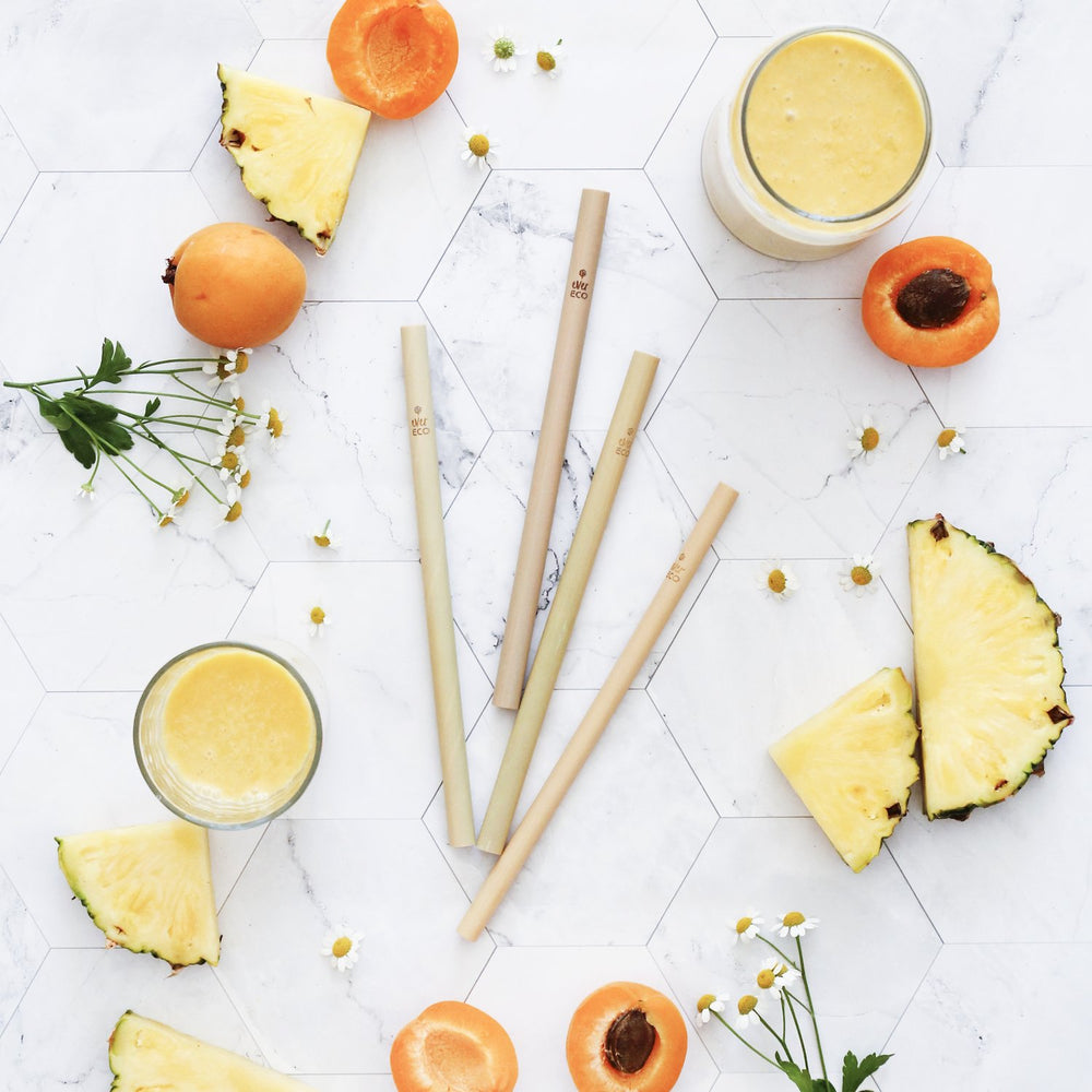 EVER ECO Bamboo Straws 4pk