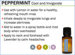 Doterra Essesntial Oil - Peppermint 15ml