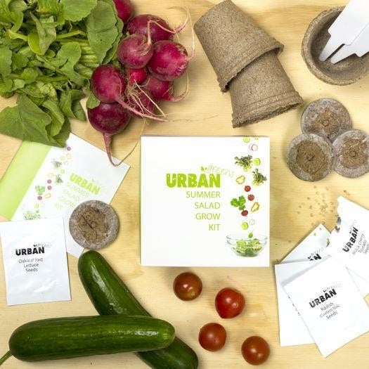 Urban Greens Summer Salad Grow Kit