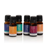 ECO. Best-selling Blends 6 Pack