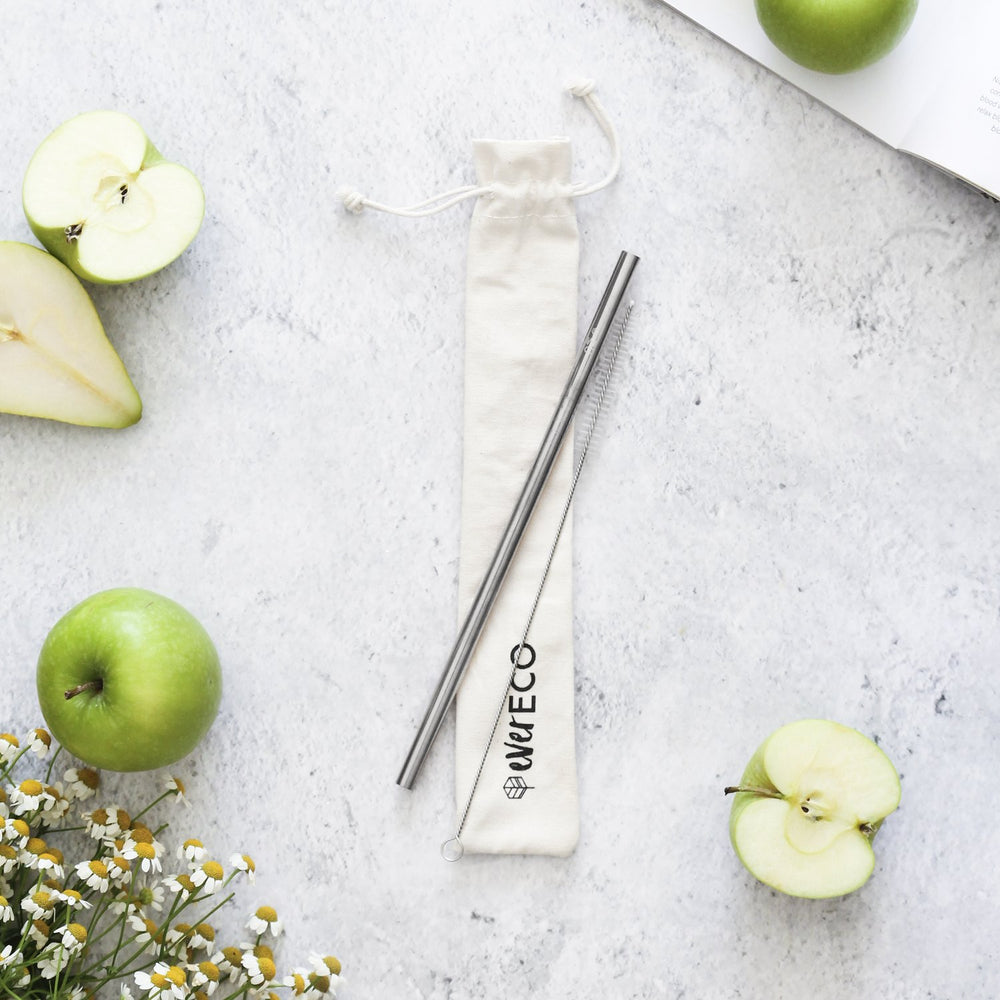 Ever eco Stainless Steel straw kit with pouch