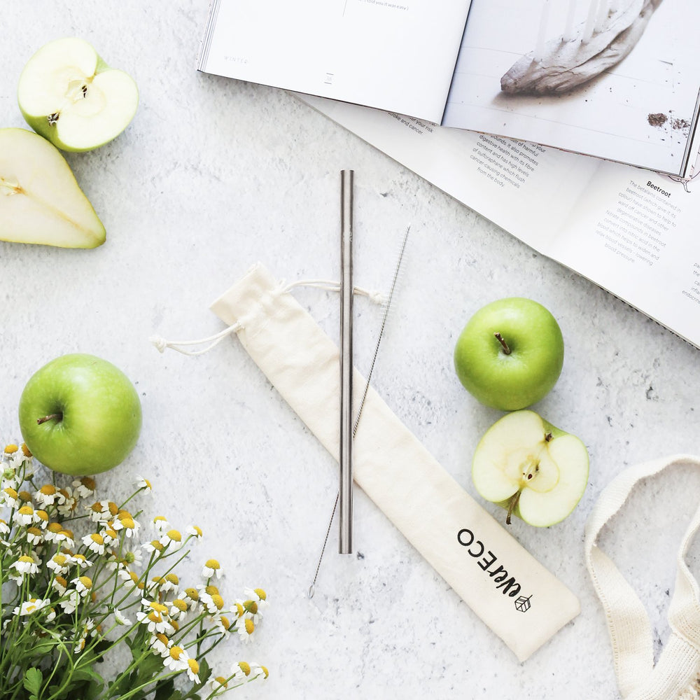 Ever eco Stainless Steel straw kit with pouch