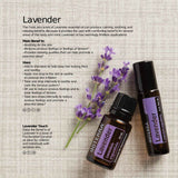 Doterra Lavender Essential Oil 15ml